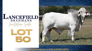 Lot 50 Lancefield S Rex 65481 PS [upl. by Llenahs]