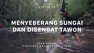 GUNUNG HARUN  Atap Negeri Kalimantan Utara 3 [upl. by Herv]