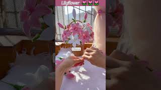 Lyliflower dont think of competing diyflower diycrepepaperflower florist flowerstipshandmade [upl. by Rapsag615]