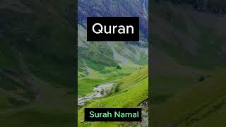 Quran Surah Namal  Ayat Urdu Translation 📖✨ [upl. by Furey]