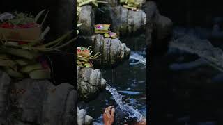 🙏 Sacred Temple Rituals in Bali Bali balitravel shorts short youtubeshorts [upl. by Dorine]