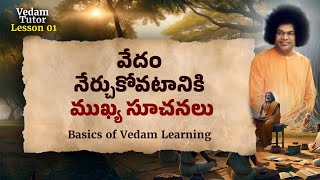 Basics of Vedam Learning  Telugu Vedam Tutor  Learn Veda Mantras [upl. by Nerrag]