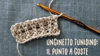 punto a coste uncinetto tunisino [upl. by Sualakcin]