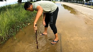 Looking Culvert Clogged Drain In My City  Drain Flood Rain Clogged On Street Road [upl. by Maxi]