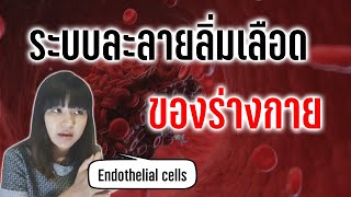 Beat LIVE ระบบละลายลิ่มเลือดของร่างกาย  Cardiovascular disease [upl. by Tomkin]