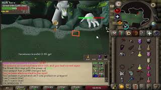 OSRS solo raid 41 acid path [upl. by Ernestine204]