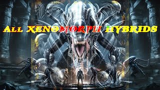 All Xenomorphs👽 in the Alien Saga Explained  Discover the Ultimate Xenomorph Evolution [upl. by Ordisy]