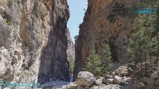 Crete  Samaria Gorge [upl. by Notnerb164]