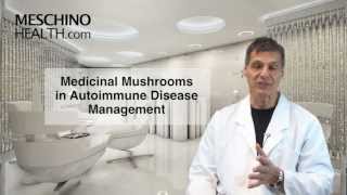 Medicinal Mushrooms in Autoimmune Diseases Management [upl. by Edmanda246]