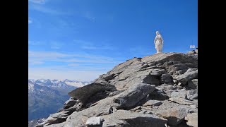 Testa del Rutor da La Joux per il Rifugio Deffeyes [upl. by Zawde256]