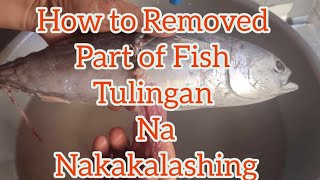 How To Removed Part of Fish Tulingan Poisonous [upl. by Laina]