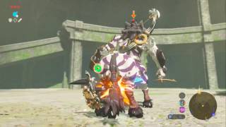 Zelda Breath of The Wild  Coliseum Ruins Lynel [upl. by Paver]