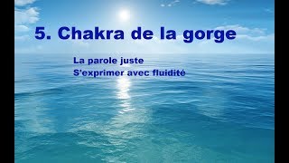 5 Chakra de la gorge La parole juste vs le quotnon ditquot ou la médisance [upl. by Nnairrek958]