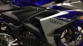 AIMExpo 2014  Yamaha YZFR3 at RevZillacom [upl. by Koby228]