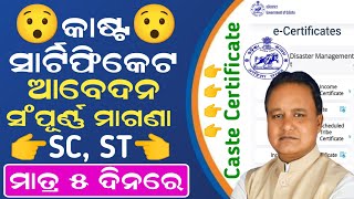 How to Apply Caste Certificate In Odisha  SC Caste Certificate Apply Online  SC ST OBC Certificate [upl. by Forsta]