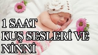 1 saat ninni  kuş sesi ve DANDİNİ DASTANA ile bebekler uyuyor  uyutma garantili  yeni [upl. by Llertnauq]