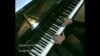 Cat Stevens  ANGELSEA from CATCH BULL AT FOUR piano cover by Daniel Fichera wsheet music link [upl. by Anawk]