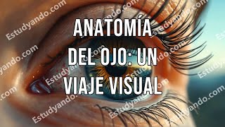 Anatomía del Ojo Un Viaje Visual [upl. by Yanat]