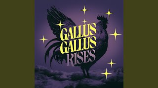 Gallus Gallus Rises [upl. by Yecram]