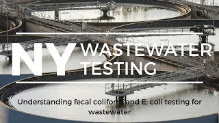 Understanding fecal coliforms and E coli testing for wastewater in the state of New York [upl. by Trixy]