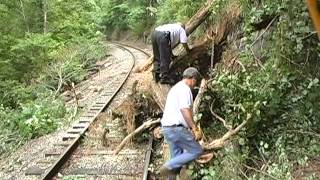 Hiwassee River Railroad excursion deals with tree blocking tracks [upl. by Aroel]