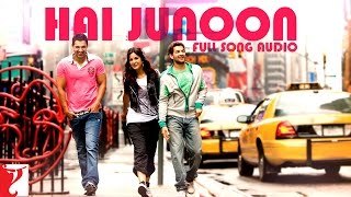 Audio  Hai Junoon  Full Song  New York  KK  Pritam  Sandeep Shrivastava [upl. by Majka]