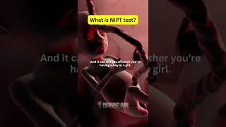 What is NIPT test during pregnancy [upl. by Domineca]