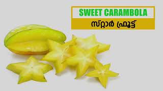 Sweet Carambola Star Fruit B17 [upl. by Immanuel]