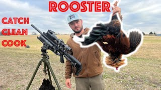 Zombie Roosters Had To Go Catch Clean Cook [upl. by Anirual961]