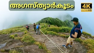 അഗസ്‌ത്യാർകൂടം  Agasthyarkoodam Trekking  Agastya Mala  4K UHD [upl. by Marlow]