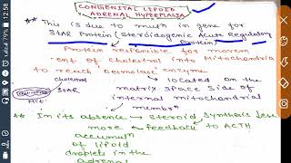 CCONGENITAL LIPOID ADRENAL HYPERPLASIA Star PROTEIN   STEROID HORMONE SYNTHESIS [upl. by Aseretairam]