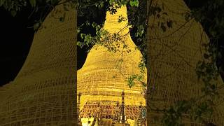 Golden Shwedagon song love yangon shortsfeed tour shortvideo shorts short travel [upl. by Madeline]