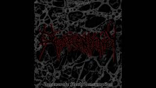 Resplendency  Degenerate Flesh Consumption Full Promo [upl. by Schoenburg]