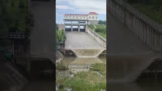 Water flow of dam  shortsvideo [upl. by Bacchus]