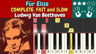 Für Elise  BEETHOVEN  complete piano tutorial fast  slow [upl. by Curson73]