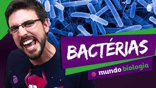 🦠 Microbiologia 25 Bactérias  Biologia  ENEM [upl. by Ahsenev]