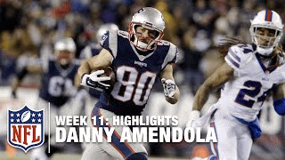 Danny Amendola Highlights Week 11  Bills vs Patriots  NFL [upl. by Akinihs]