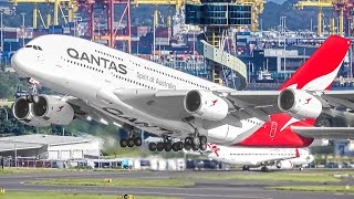 400 AIRCRAFT TAKEOFFS amp LANDINGS in 4 HOURS Aircraft Identification  Sydney Airport Plane Spotting [upl. by Belloir232]