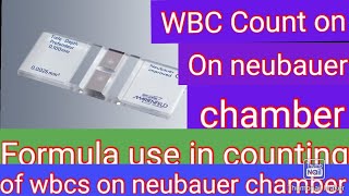 WBC Count on Neubauer Chamber Formula use in WBC count on Neubauer chamber WBCMicroscopeyOn NChambr [upl. by Cinimmod163]