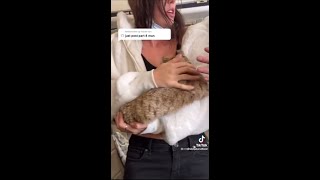 WOMAN BREASTFEEDING CAT ON PLANE [upl. by Sabsay]