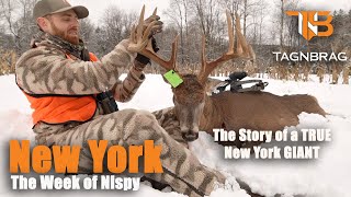 New York GIANT 177 Buck of a LIFETIME [upl. by Haley]