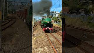 Steam Engine 3801 speeds through Carlton on relay run to Hurstville during heritage transport expo [upl. by Converse]