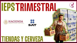 Curso Todo Sobre IEPS Parte 3  Como Presentar Informativa Trimestral y Anual [upl. by Nahta]