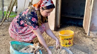 Iran Village Lifestyle in Autumn  Daily Routine Village Life in Iran [upl. by Ikuy]