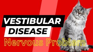 Vestibular Disease in Cats  Symptoms Causes Diagnosis  Animalia Dot pk [upl. by Etteuqram411]