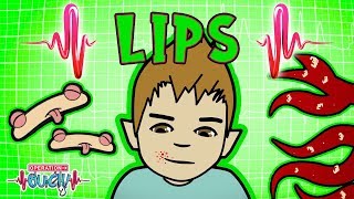 Operation Ouch  Lip Injuries  Human Head [upl. by Valentine]