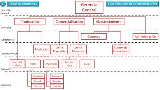 OrganigramaPasos [upl. by Llennoj]