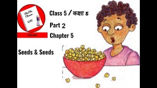 Seeds and Seeds Chapter 5 Class 5 EVS NCERT Lesson 5 Part 2 Hindi Explanations amp Question Answer [upl. by Laurita]