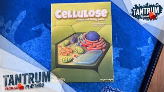 Cellulose Playthru [upl. by Lehcin993]