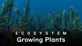 Plants in the Ocean  Gameplay Guide  Ecosystem Game [upl. by Harv]